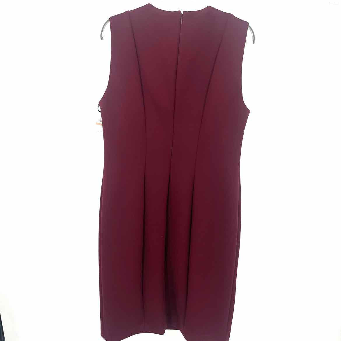 Size 12 CALVIN KLEIN Burgundy Dress  Shop Prior Attire